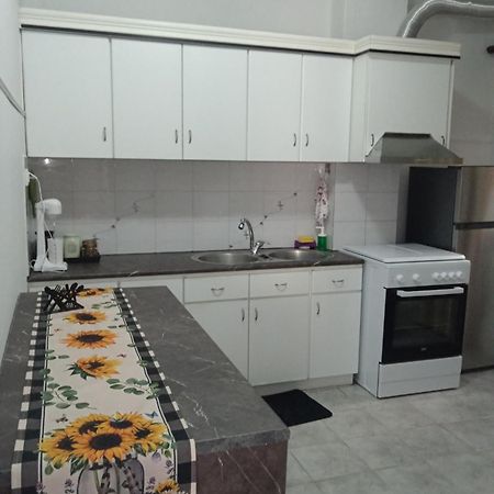 Apartmán Teris123 Florina Exteriér fotografie